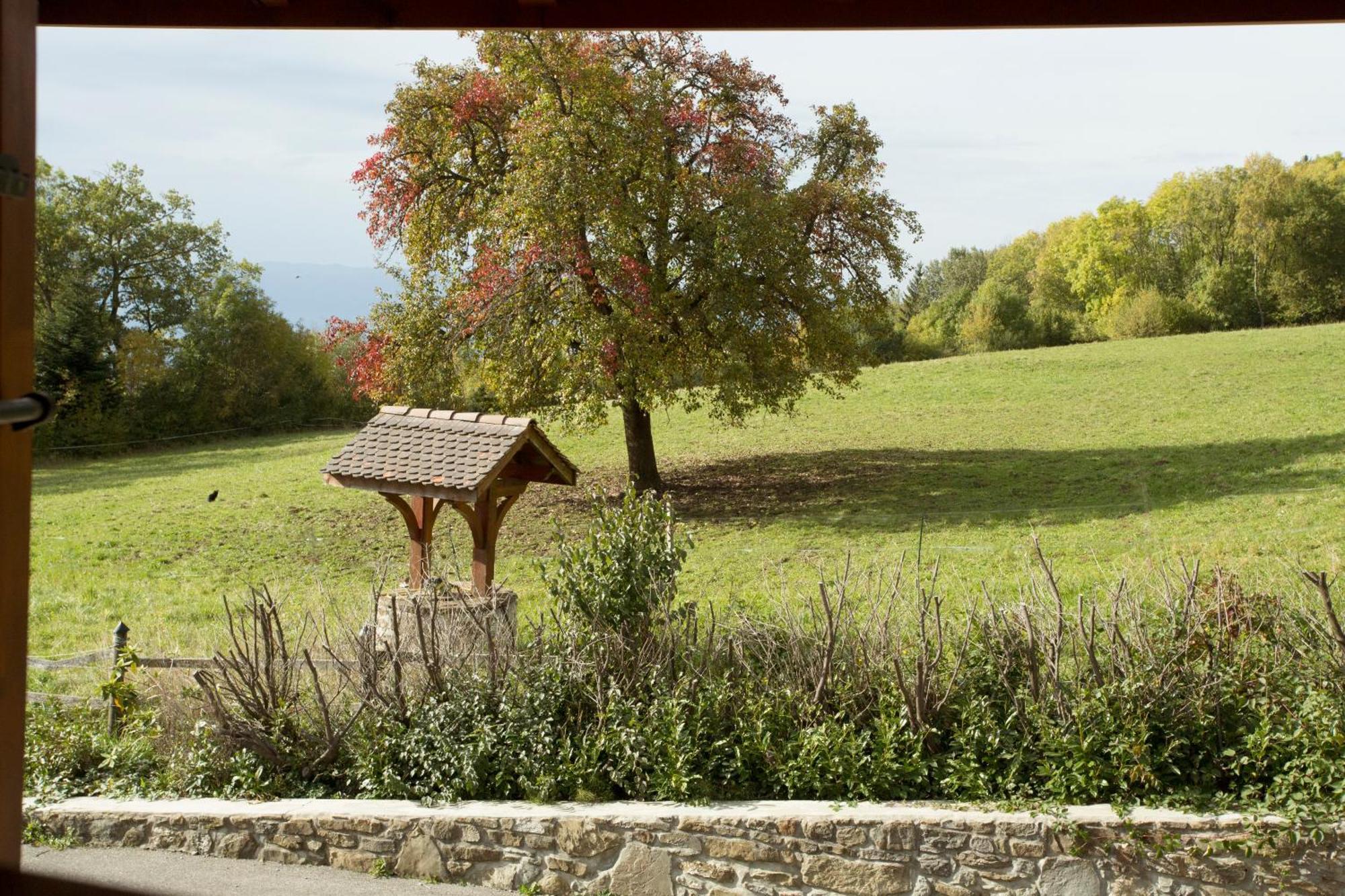 Le Bonheur Dans Le Pre Hotel Lucinges Exterior photo